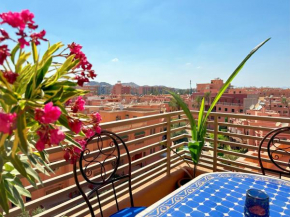Appart Majorelle terrasse wifi centre ville